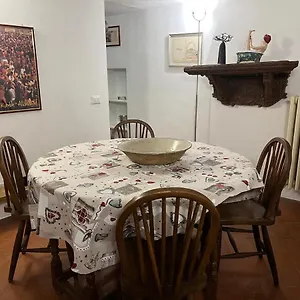Pasha Florencia